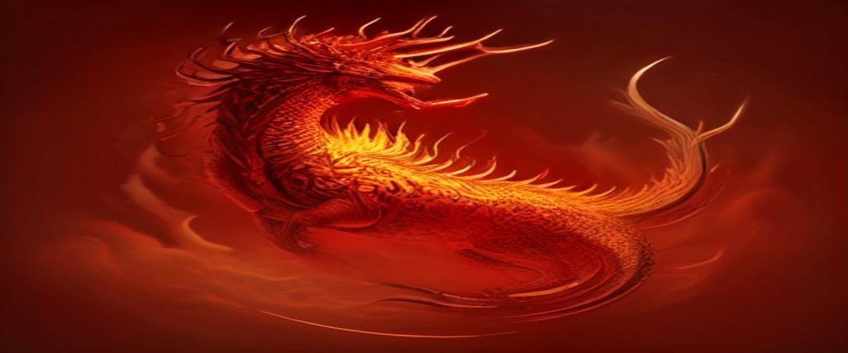 五爪金龙